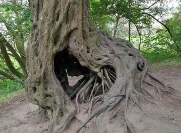 Mensch Natur-min